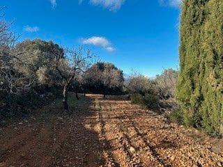 Finka/Dom wiejski na sprzedaż w Cabanes - 59 999 € (Ref: 9547193)