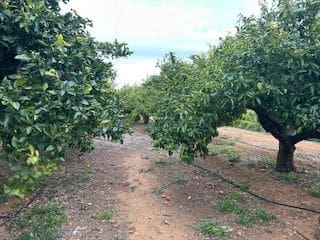 Finca/Landehus til salg i Cabanes - € 149.900 (Ref: 9619803)