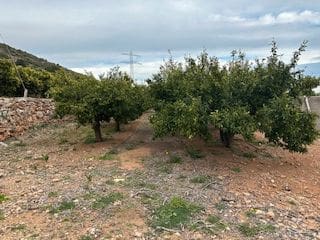 Finca/Landehus til salg i Cabanes - € 149.900 (Ref: 9619803)