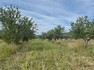 Building Plot for sale in Cabanes - € 18,000 (Ref: 9849610)
