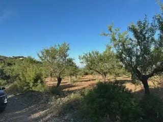 Building Plot for sale in Cabanes - € 25,000 (Ref: 9849611)