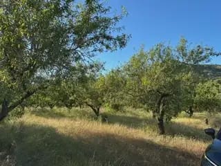 Building Plot for sale in Cabanes - € 25,000 (Ref: 9849611)