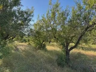 Building Plot for sale in Cabanes - € 25,000 (Ref: 9849611)