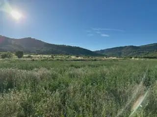 Building Plot for sale in Cabanes - € 30,000 (Ref: 9849613)