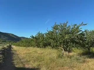 Building Plot for sale in Cabanes - € 15,000 (Ref: 9858972)