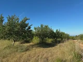 Building Plot for sale in Cabanes - € 15,000 (Ref: 9858972)