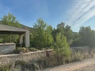 Undeveloped Land for sale in Cabanes - € 18,500 (Ref: 9879210)