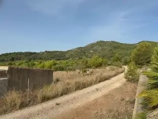 Undeveloped Land for sale in Cabanes - € 22,500 (Ref: 9917496)