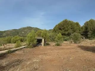Undeveloped Land for sale in Cabanes - € 22,500 (Ref: 9917496)