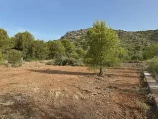 Undeveloped Land for sale in Cabanes - € 22,500 (Ref: 9917496)