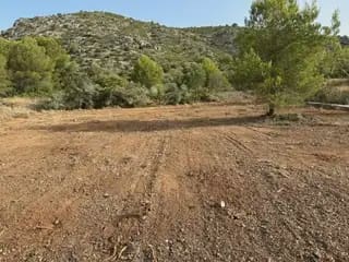 Undeveloped Land for sale in Cabanes - € 22,500 (Ref: 9917496)