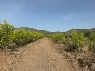 Undeveloped Land for sale in Cabanes - € 45,000 (Ref: 9956275)