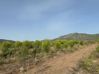 Undeveloped Land for sale in Cabanes - € 45,000 (Ref: 9956275)