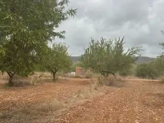 Terreno Non Edificato in vendita in Cabanes - 11.500 € (Rif: 9977822)