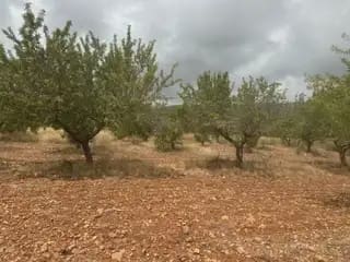 Terreno Non Edificato in vendita in Cabanes - 15.000 € (Rif: 9986162)