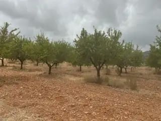Terreno Non Edificato in vendita in Cabanes - 15.000 € (Rif: 9986162)