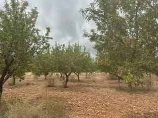 Terreno Non Edificato in vendita in Cabanes - 15.000 € (Rif: 9986162)