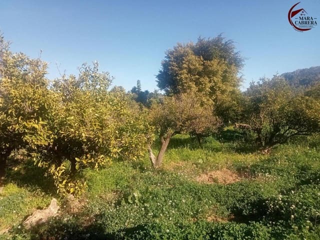 Undeveloped Land for sale in Alfauir - € 65,000 (Ref: 9398816)