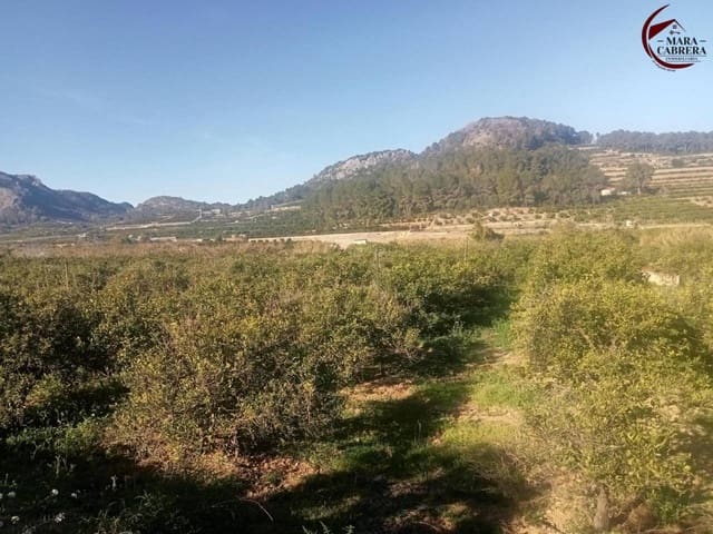 Undeveloped Land for sale in Alfauir - € 65,000 (Ref: 9398816)