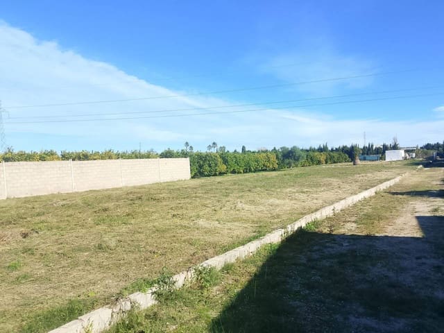 Grunde uden byggetilladelser til salg i Oliva - € 50.000 (Ref: 9402945)