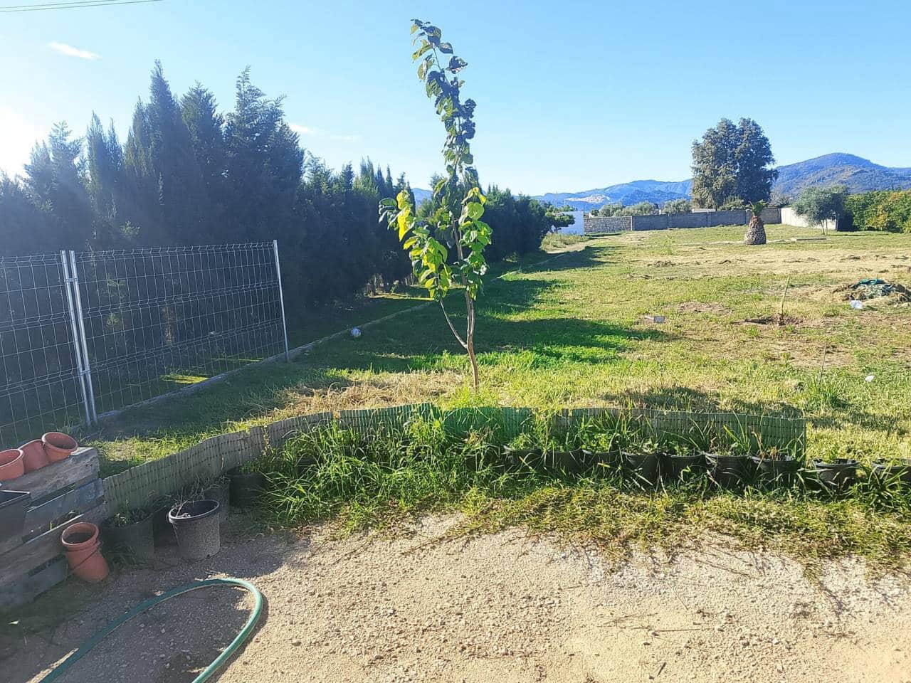 Grunde uden byggetilladelser til salg i Oliva - € 50.000 (Ref: 9402945)