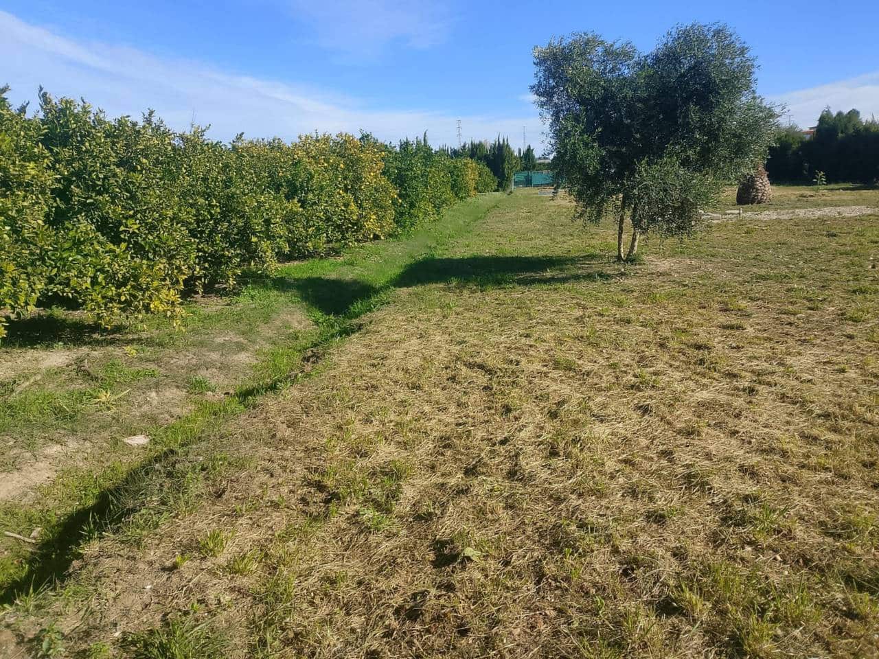 Grunde uden byggetilladelser til salg i Oliva - € 50.000 (Ref: 9402945)