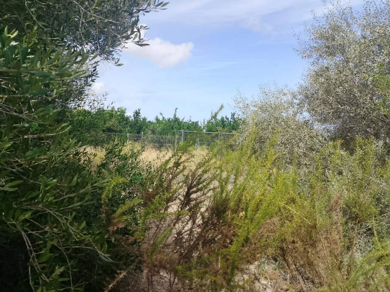 Undeveloped Land for sale in Oliva - € 16,000 (Ref: 9417673)