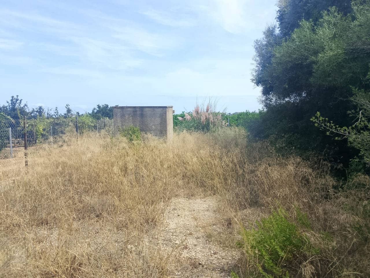 Undeveloped Land for sale in Oliva - € 16,000 (Ref: 9417673)