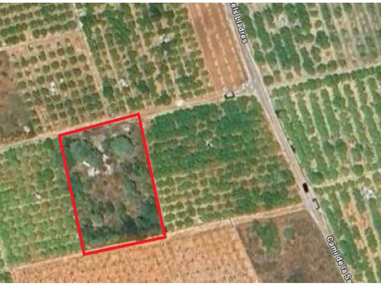 Undeveloped Land for sale in Oliva - € 16,000 (Ref: 9417673)