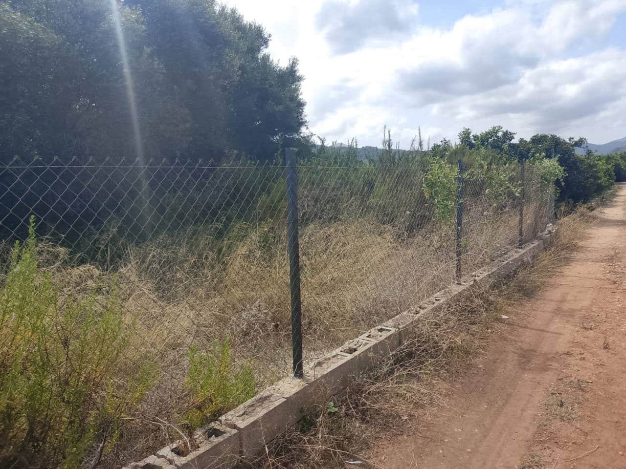 Undeveloped Land for sale in Oliva - € 16,000 (Ref: 9417673)