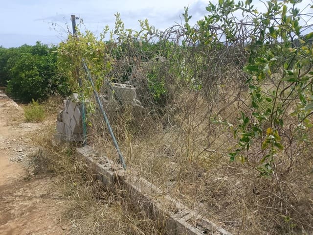 Undeveloped Land for sale in Oliva - € 16,000 (Ref: 9417673)