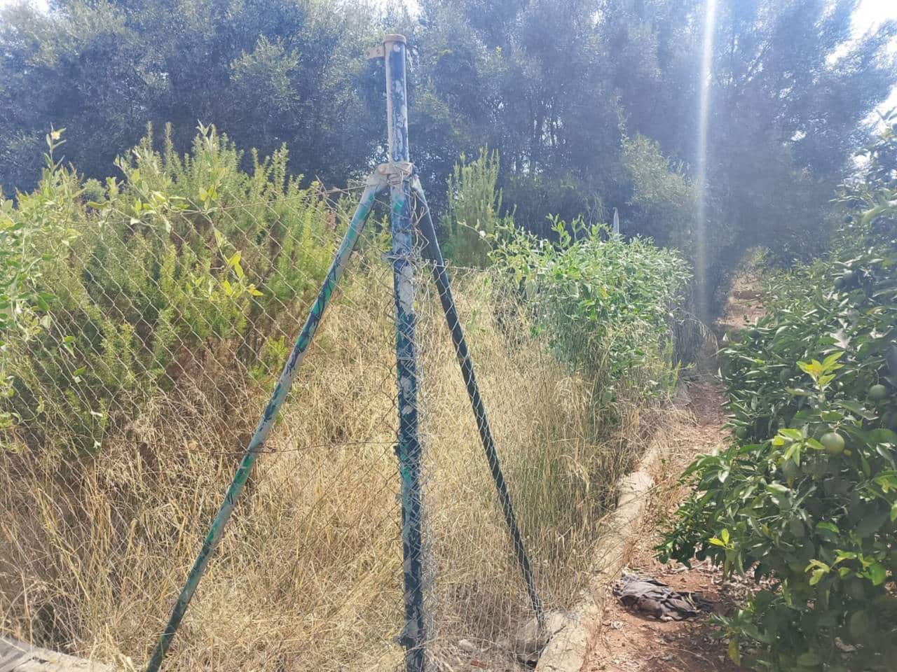 Undeveloped Land for sale in Oliva - € 16,000 (Ref: 9417673)