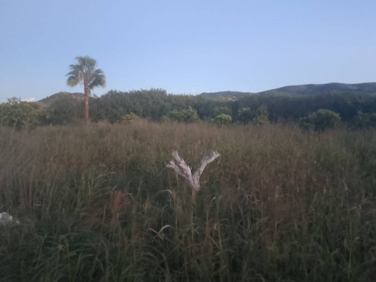 2 bedroom Mobile Home for sale in Benifla with pool garage - € 95,000 (Ref: 9425330)