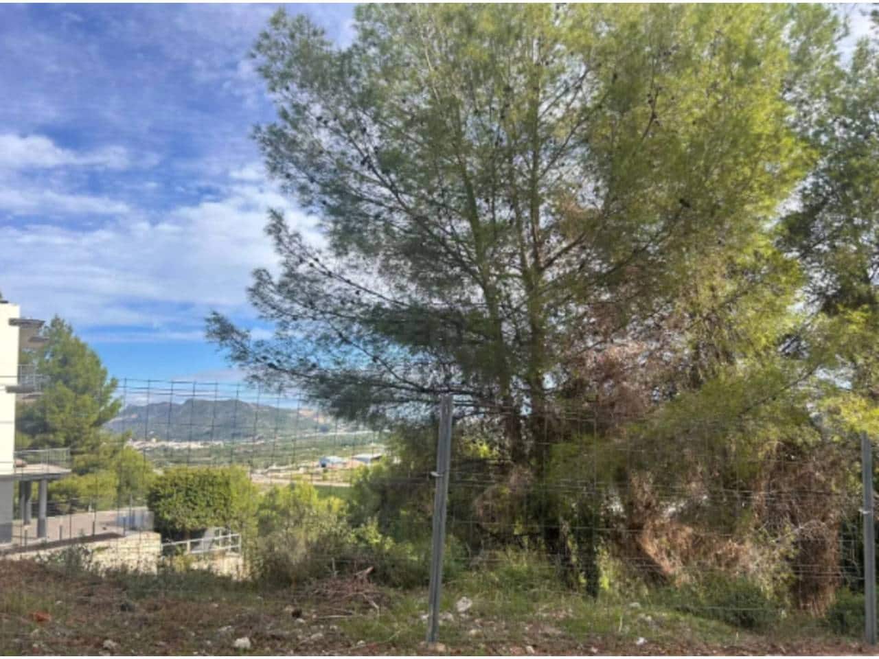 Undeveloped Land for sale in Ador - € 77,000 (Ref: 9441278)