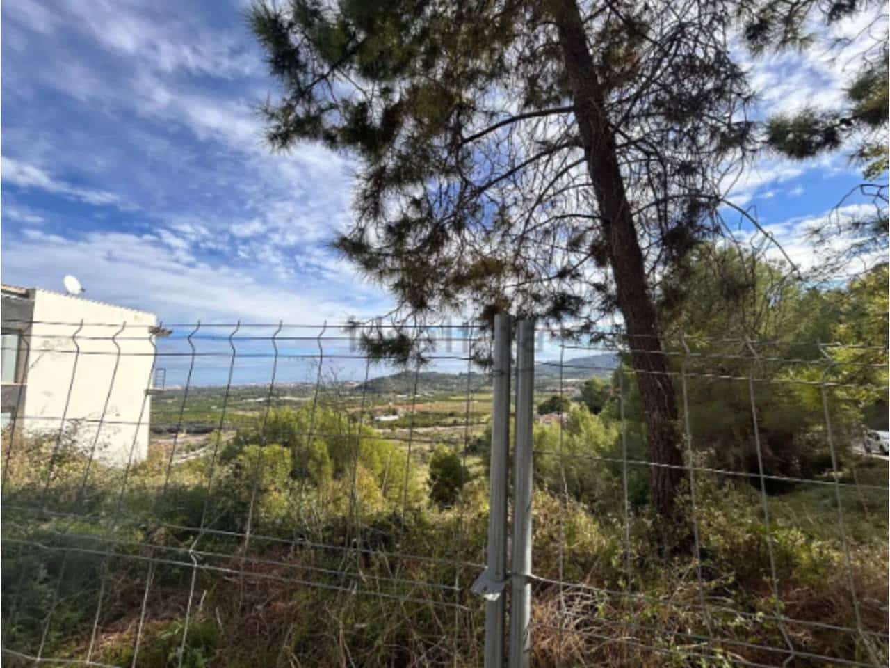 Undeveloped Land for sale in Ador - € 77,000 (Ref: 9441278)