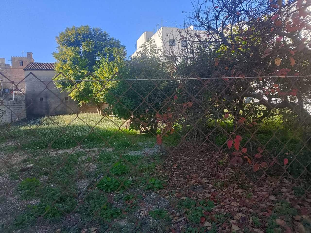 Byggetomt til salgs i Piles - € 62 000 (Ref: 9442902)