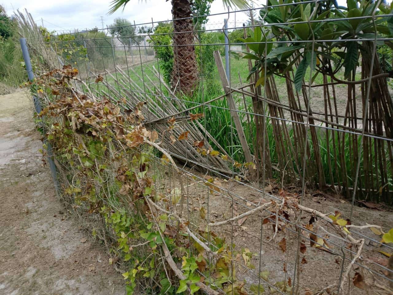 Terreno Não Urbanizado para venda em Oliva - 22 000 € (Ref: 9461141)