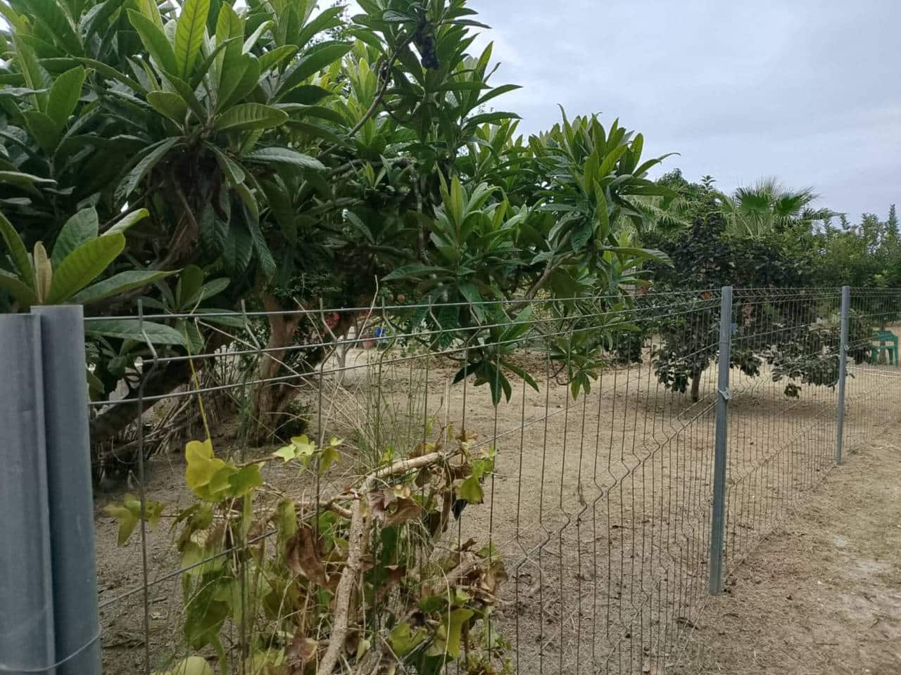 Terreno Não Urbanizado para venda em Oliva - 22 000 € (Ref: 9461141)