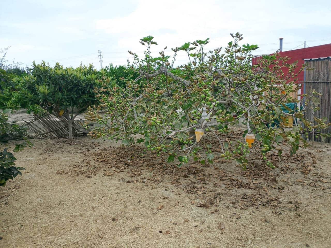 Terreno Não Urbanizado para venda em Oliva - 22 000 € (Ref: 9461141)