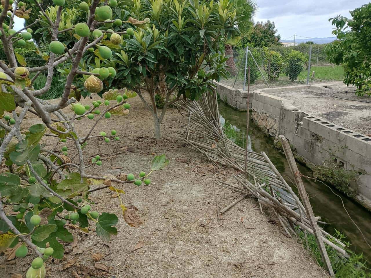 Terreno Não Urbanizado para venda em Oliva - 22 000 € (Ref: 9461141)