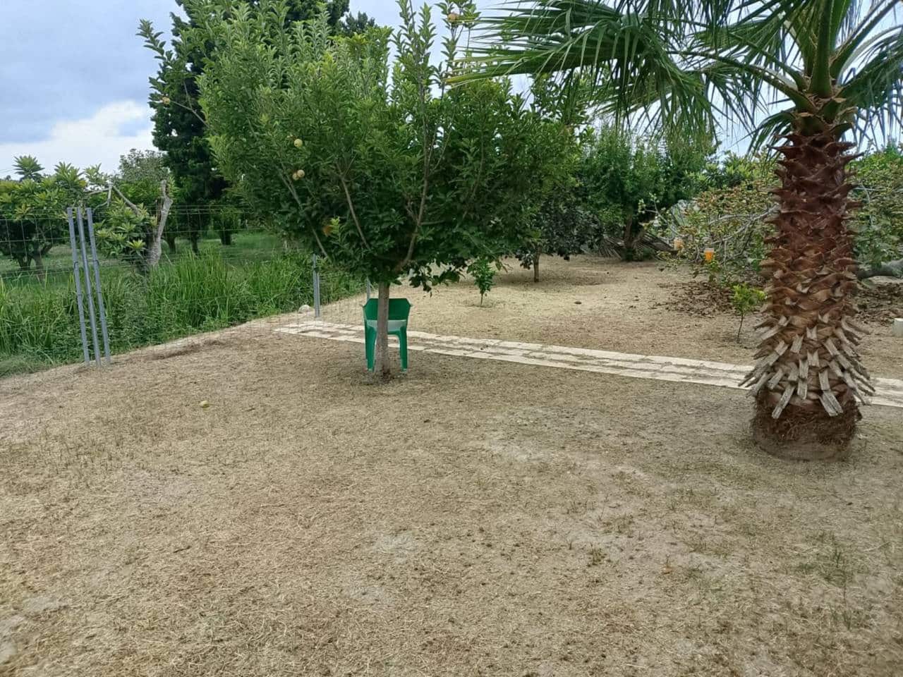 Terreno Não Urbanizado para venda em Oliva - 22 000 € (Ref: 9461141)