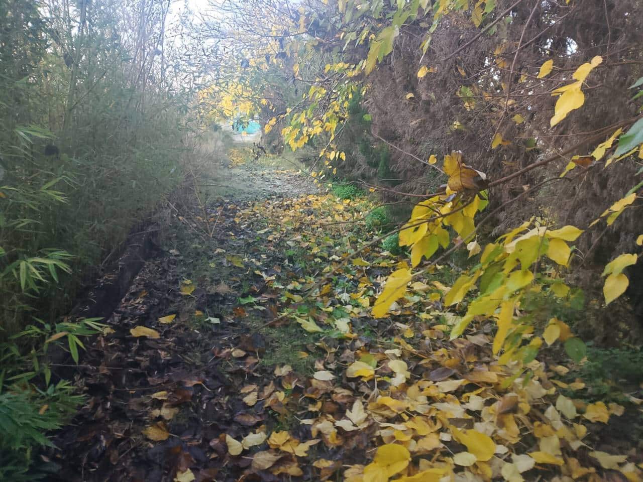 Landgrundstück zu verkaufen in Oliva - 70.000 € (Ref: 9471062)