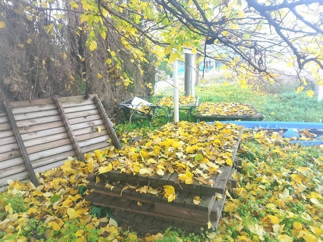 Landgrundstück zu verkaufen in Oliva - 70.000 € (Ref: 9471062)