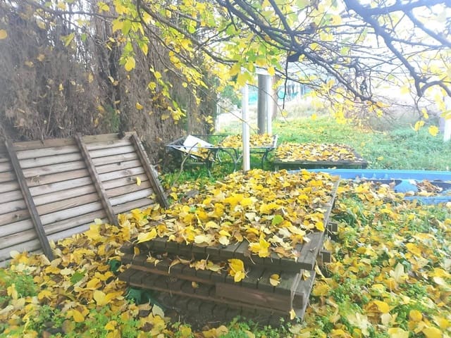 6 sypialnia Finka/Dom wiejski na sprzedaż w Oliva z basenem garażem - 70 000 € (Ref: 9471063)