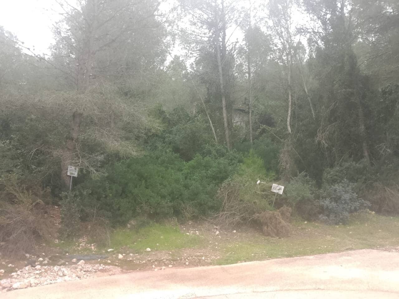 Undeveloped Land for sale in Palma de Gandia - € 70,000 (Ref: 9533063)
