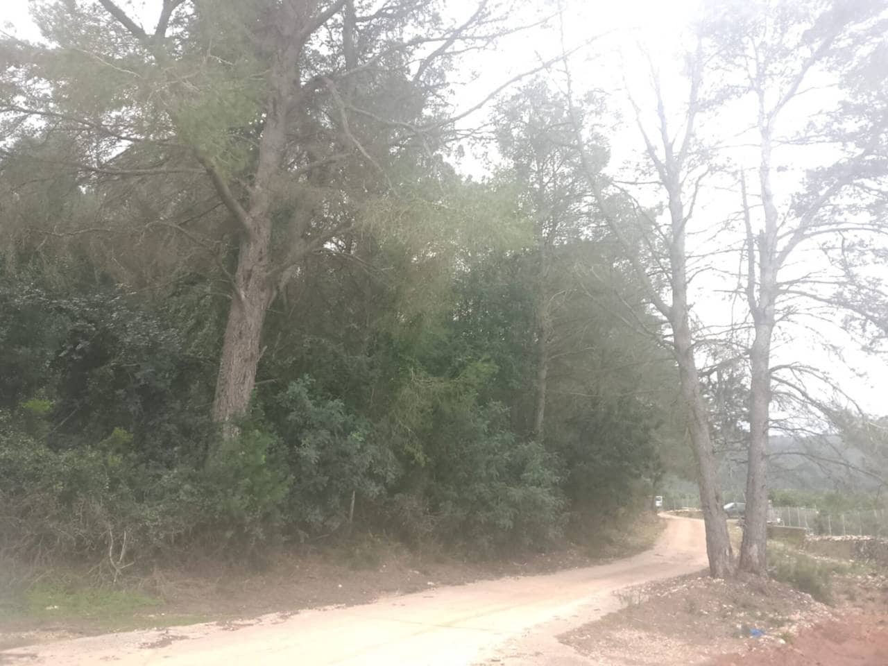 Undeveloped Land for sale in Palma de Gandia - € 70,000 (Ref: 9533063)