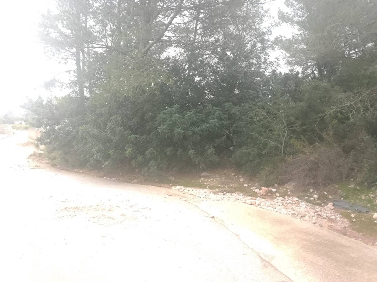 Undeveloped Land for sale in Palma de Gandia - € 70,000 (Ref: 9533063)