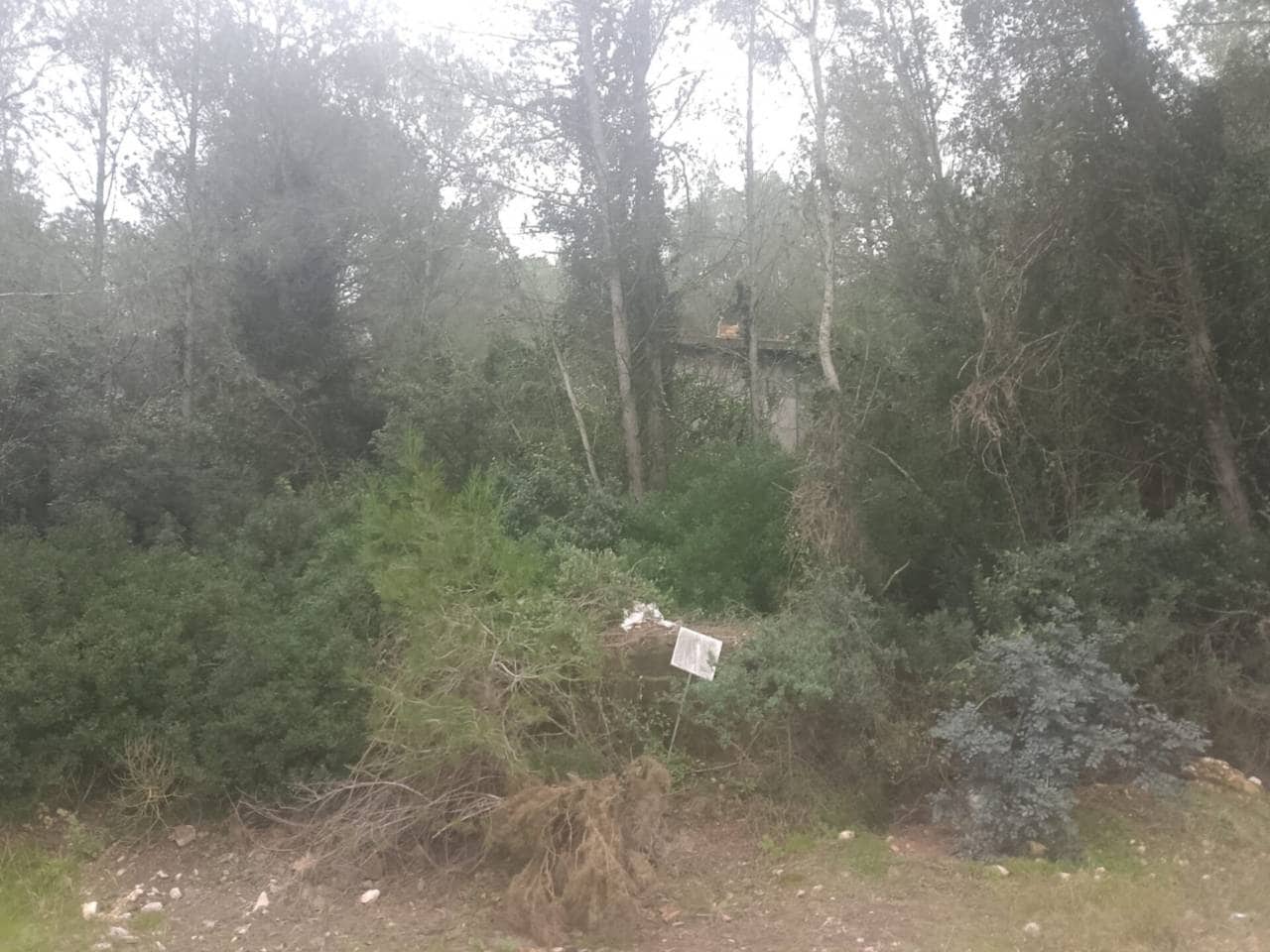 Undeveloped Land for sale in Palma de Gandia - € 70,000 (Ref: 9533063)