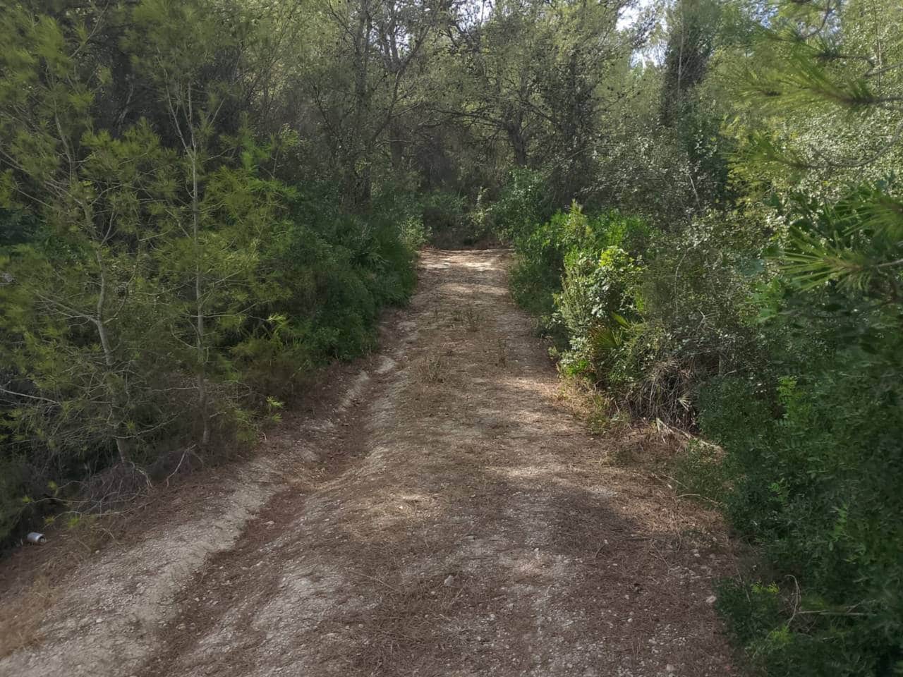 Undeveloped Land for sale in Palma de Gandia - € 70,000 (Ref: 9533063)