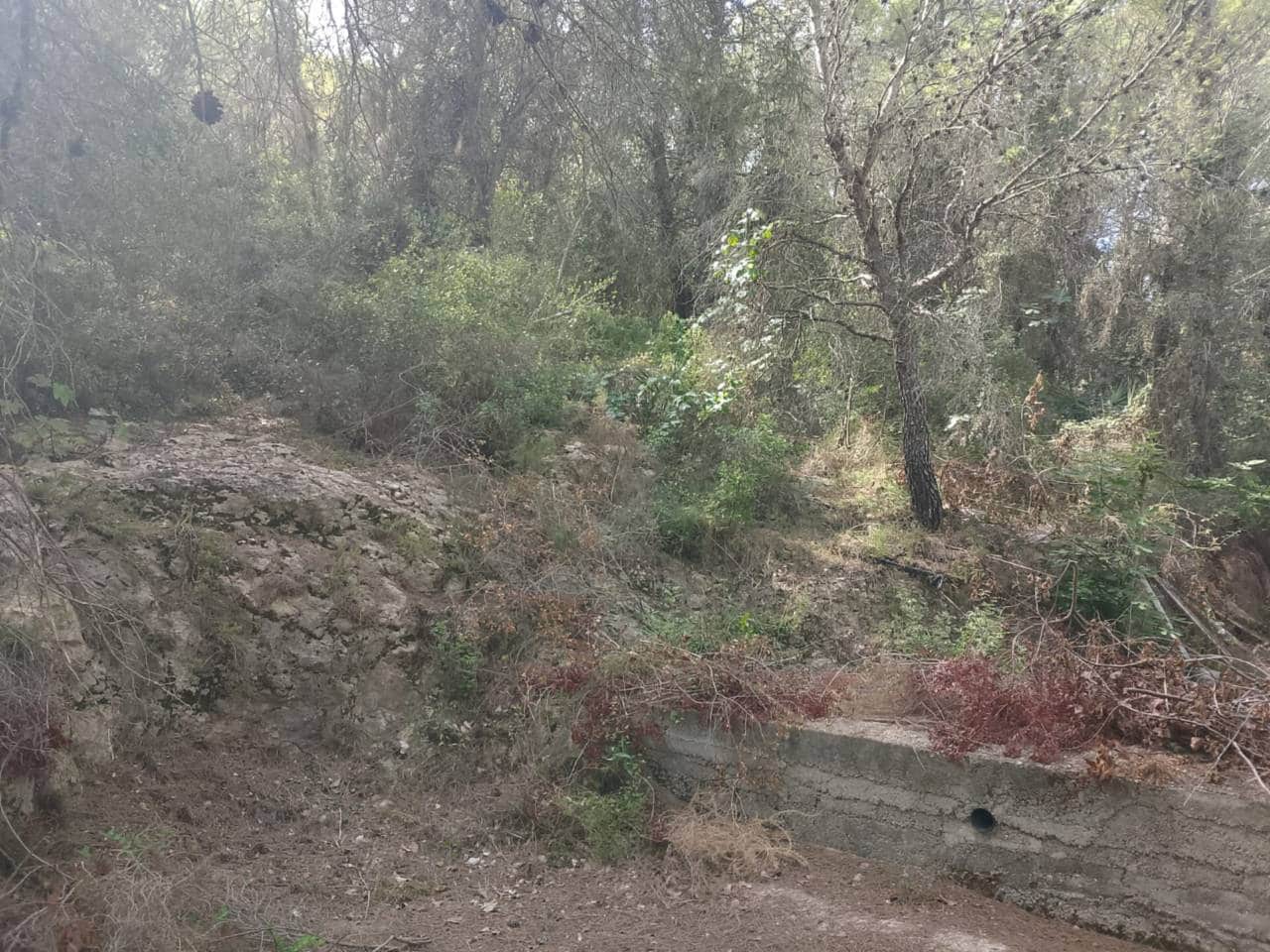 Undeveloped Land for sale in Palma de Gandia - € 70,000 (Ref: 9533063)